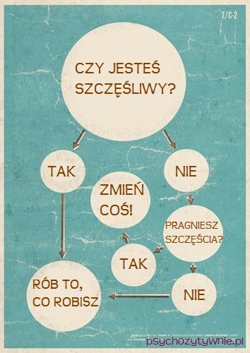 przewodnik