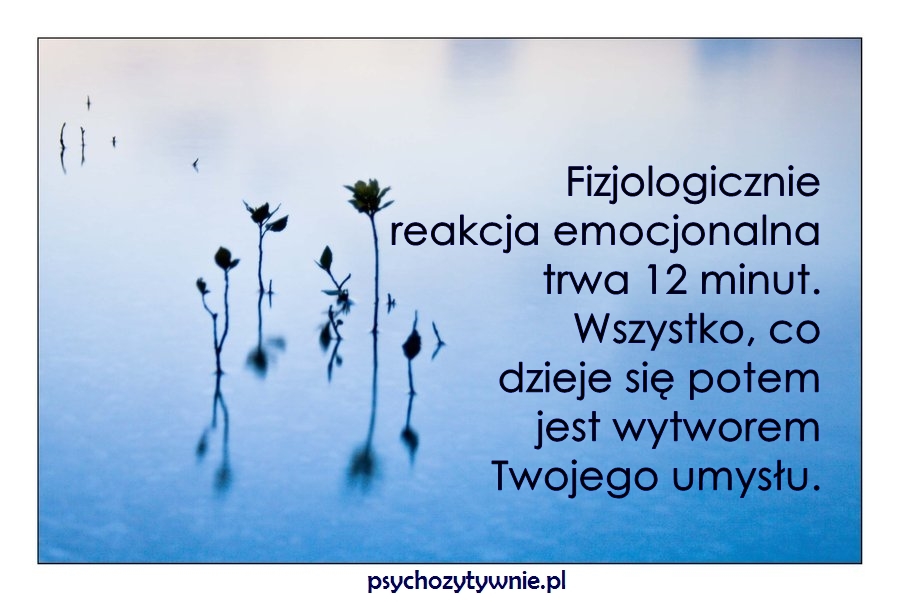 reakcja_emo