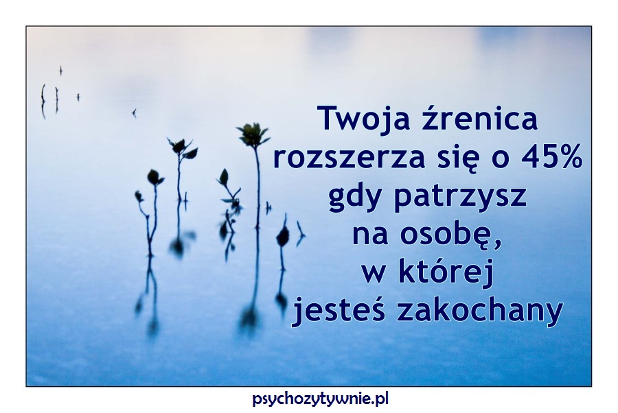 zakoch